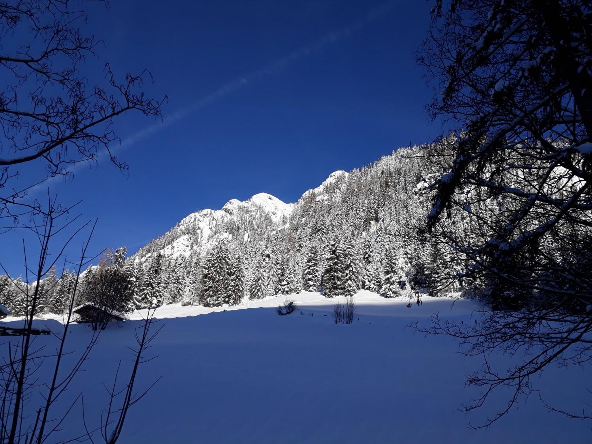 Haus Schoenwies Alpbach